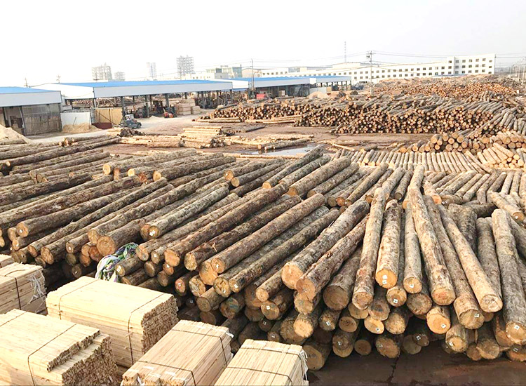 近期全国多地木材价格再次上涨